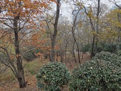 -燕儿岛山公园