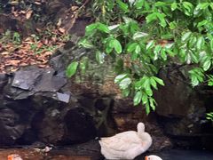 -兰亭风景区