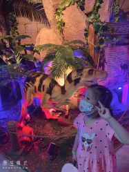 -恐龙探索乐园(磁器口店)