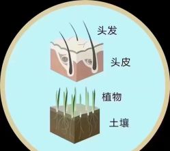 -木北造型