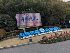 -嘉定紫藤园