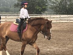 -月河湾马术俱乐部(朝阳店)