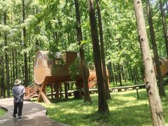 -黄海国家森林公园