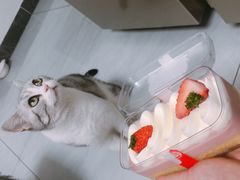 -好利来(团结湖店)