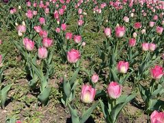 -长春公园(普阳街道)