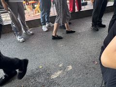 -赵姐猪耳朵饭店