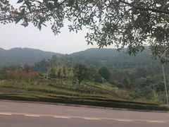 -铁山坪森林公园