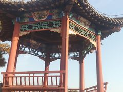 -大兴滨河森林公园