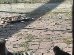 -南昌动物园