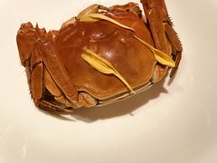 -蟹榭·本帮江浙菜·蟹宴(五角场合生汇商场店)