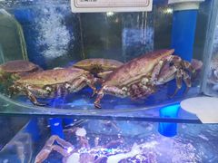 -晶渔坊·海鲜私房菜(东夷小镇店)