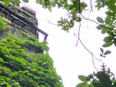 -南京城墙景区
