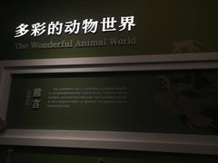 -国家自然博物馆