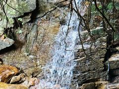 -火炉山森林公园