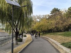-元大都城垣遗址公园