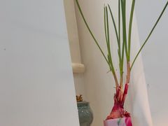 -兰溪十八浇(天一店)