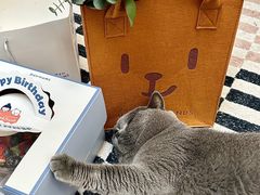 -静宜和她的朋友(星海广场店)