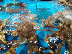 -盒马鲜生(馥邦国际店)