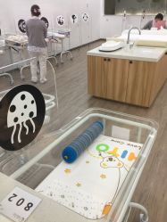 -海豚湾高端月子会所(黄浦店)