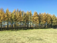 -塞罕坝国家级自然保护区