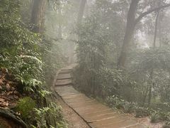 -青城山