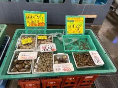 -海鮮寿司とれとれ市場