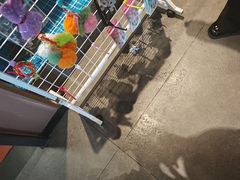 -涿派·炝锅鱼(涿州店)