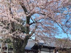 -有栖山 清光院 清水寺