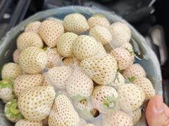 -西郊国际农产品交易中心