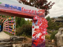 -北京西山国家森林公园