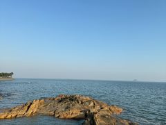 -野狸岛