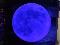-重庆梵高星空艺术馆(解放碑旗舰店)