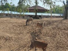 -石家庄市动物园