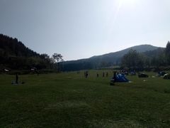 -武陵山森林公园