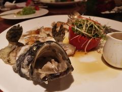 盘龙广东丝瓜蒸龙胆石斑鱼-阳澄湖费尔蒙酒店颐丰阁中餐厅(马鞍山西路店)