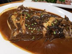 -船歌·鱼水饺青岛菜(闽江二路店)
