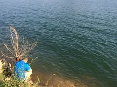 iphone_upload_pic-望湖烤鱼