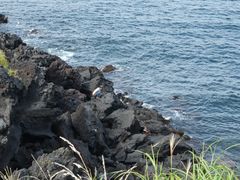 -龙头岩(Dragon Head Rock)