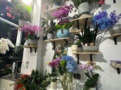 -FEI FEI FLOWER鲜花店·气球派对·宝宝宴布置(虹口德必运动Loft店)
