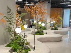 -帕帕拉兹宠物(亚洲旗舰店)