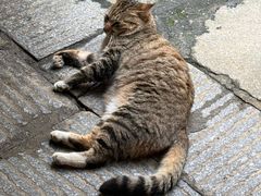 -靖港古镇