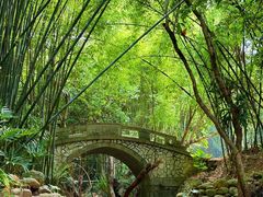 -深圳仙湖植物园
