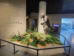 -北京周口店北京人遗址博物馆