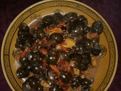 大盘田螺-柘林湖生态鱼馆