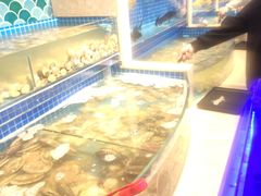 水产区-乔哥铭洋海鲜自助(皇城恒隆广场店)