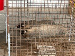 -长春农业博览园