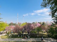 -海棠花溪(元大都城垣遗址公园)