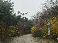 -浮山香苑