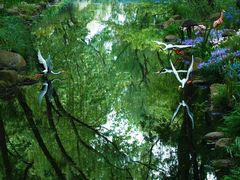 -上海共青森林公园