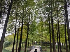 -尚贤河湿地